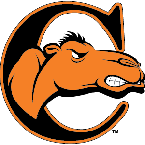 Campbell Fighting Camels Football - Official Ticket Resale Marketplace